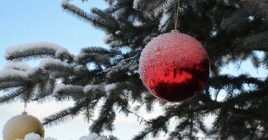 Christbaumtauchen am Faaker See