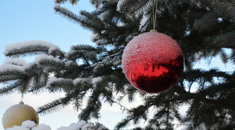 Christbaumtauchen am Faaker See