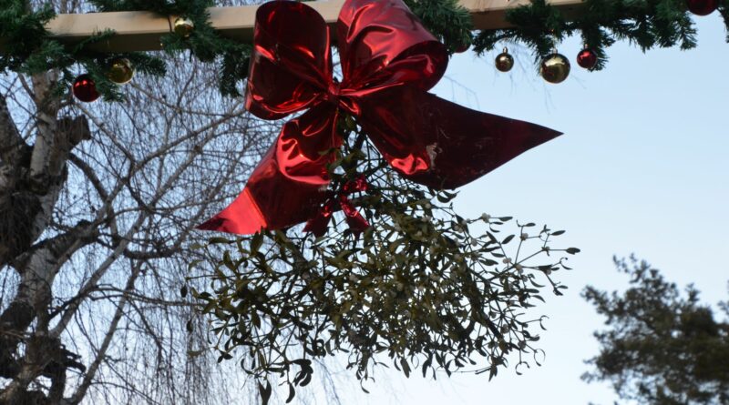 Christbaumtauchen am Faaker See