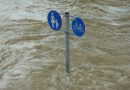 Hochwasser in Niederösterreich und Wien